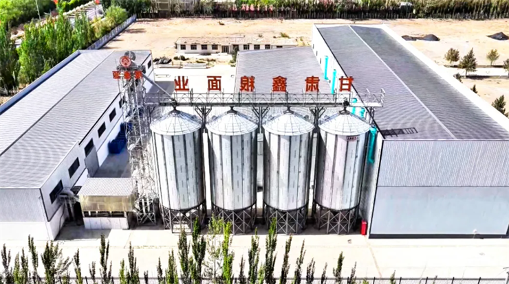 全球十大赌钱软件app