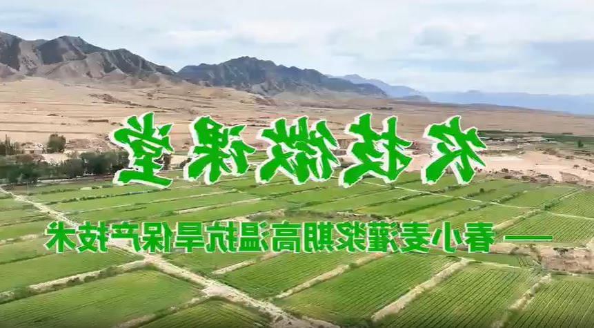 全球十大赌钱软件app